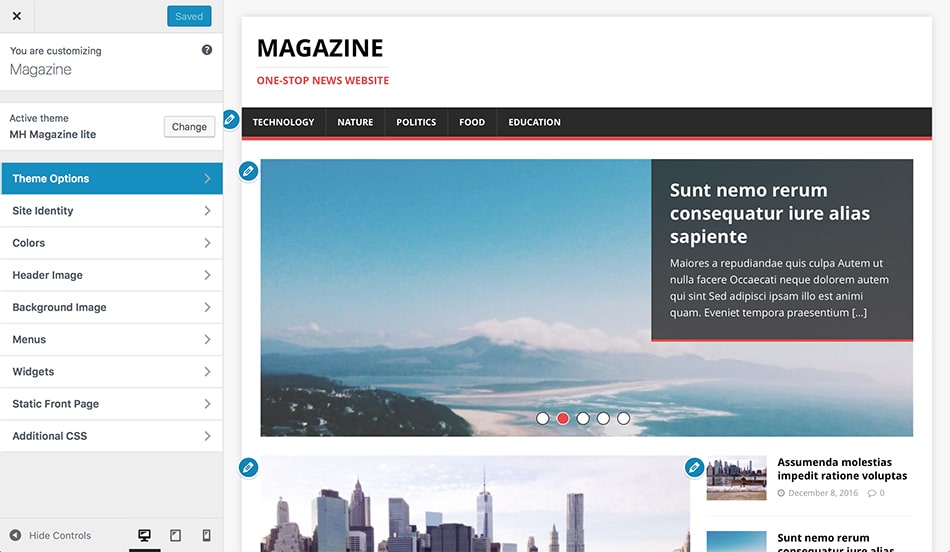 Manage Widgetized Magazine WordPress Themes