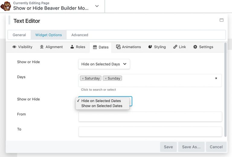 Guide: Using Widget Options to Manage Beaver Builder Modules