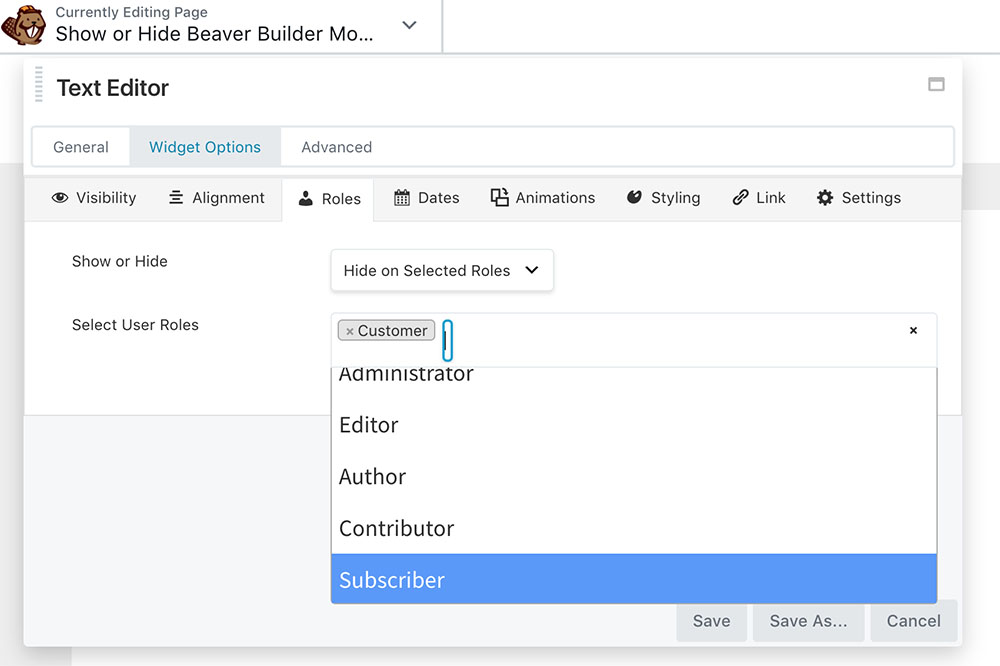 Show or Hide Beaver Builder Module per User Role