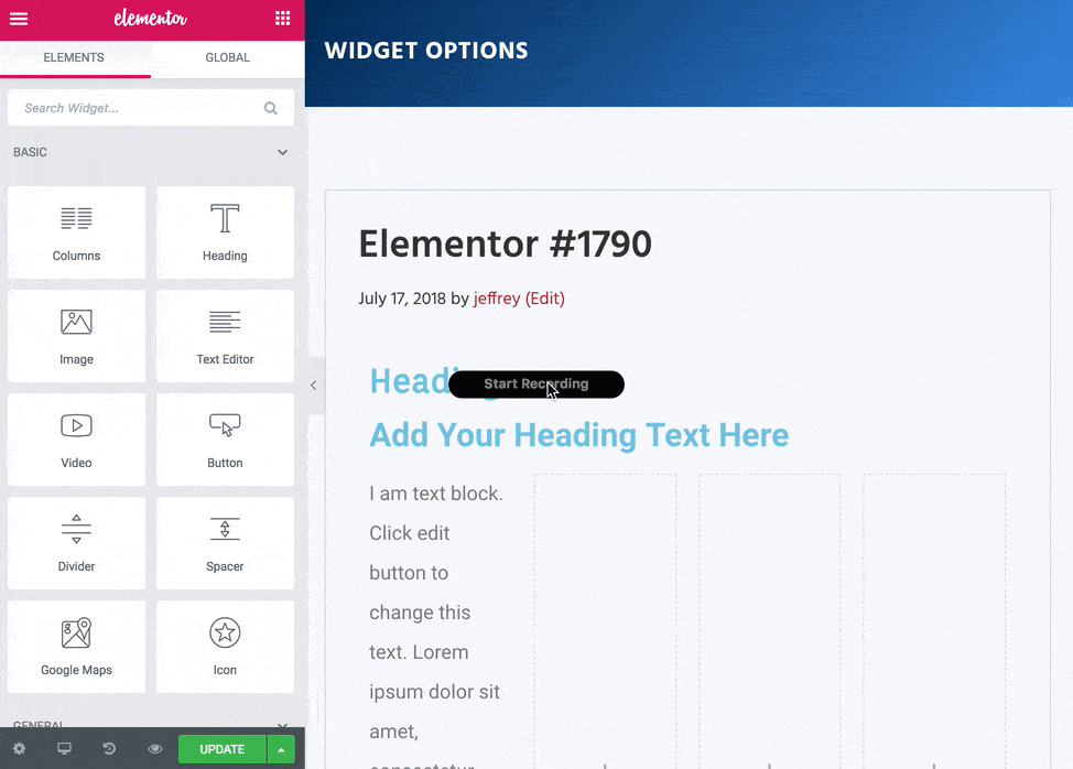 Hide Elementor Widget Visibility per User Logged-in State