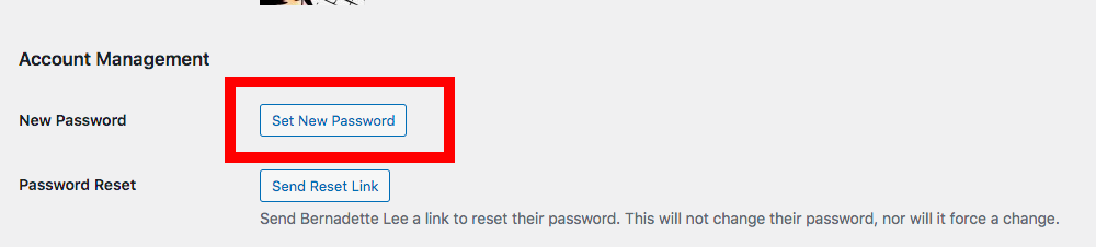 Wordpress Set New Password Button