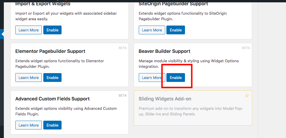 Beaver Builder PageBuilder Support with Widget Options Plugin